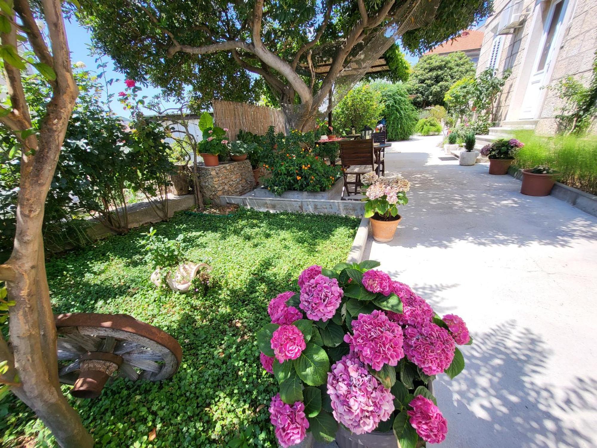 Apartments Miljas Dubrovnik Exterior photo